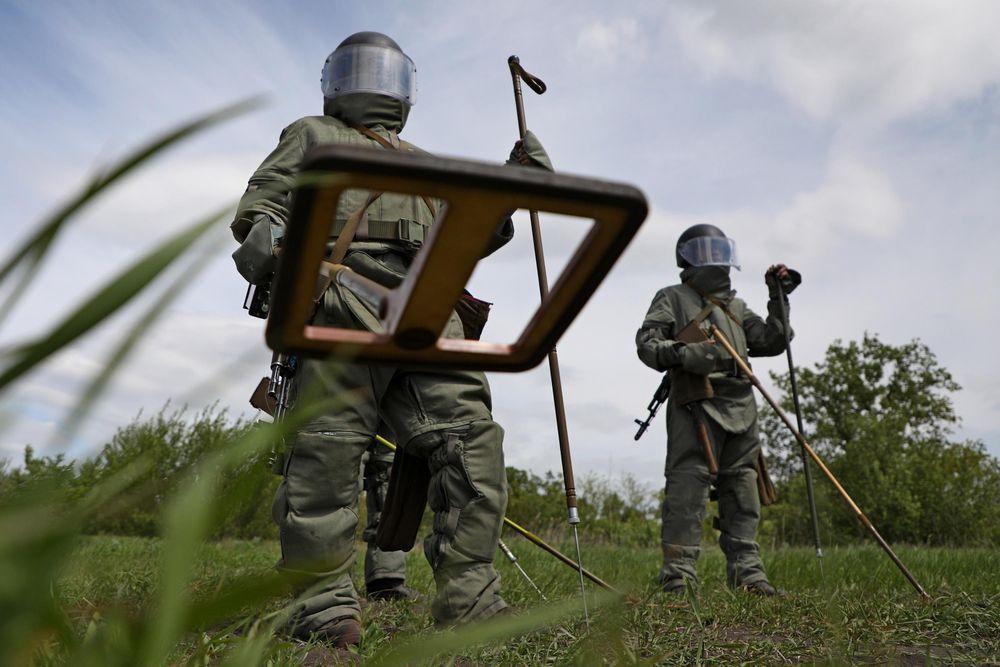 Япония поможет Украине в разминировании и кибербезопасности