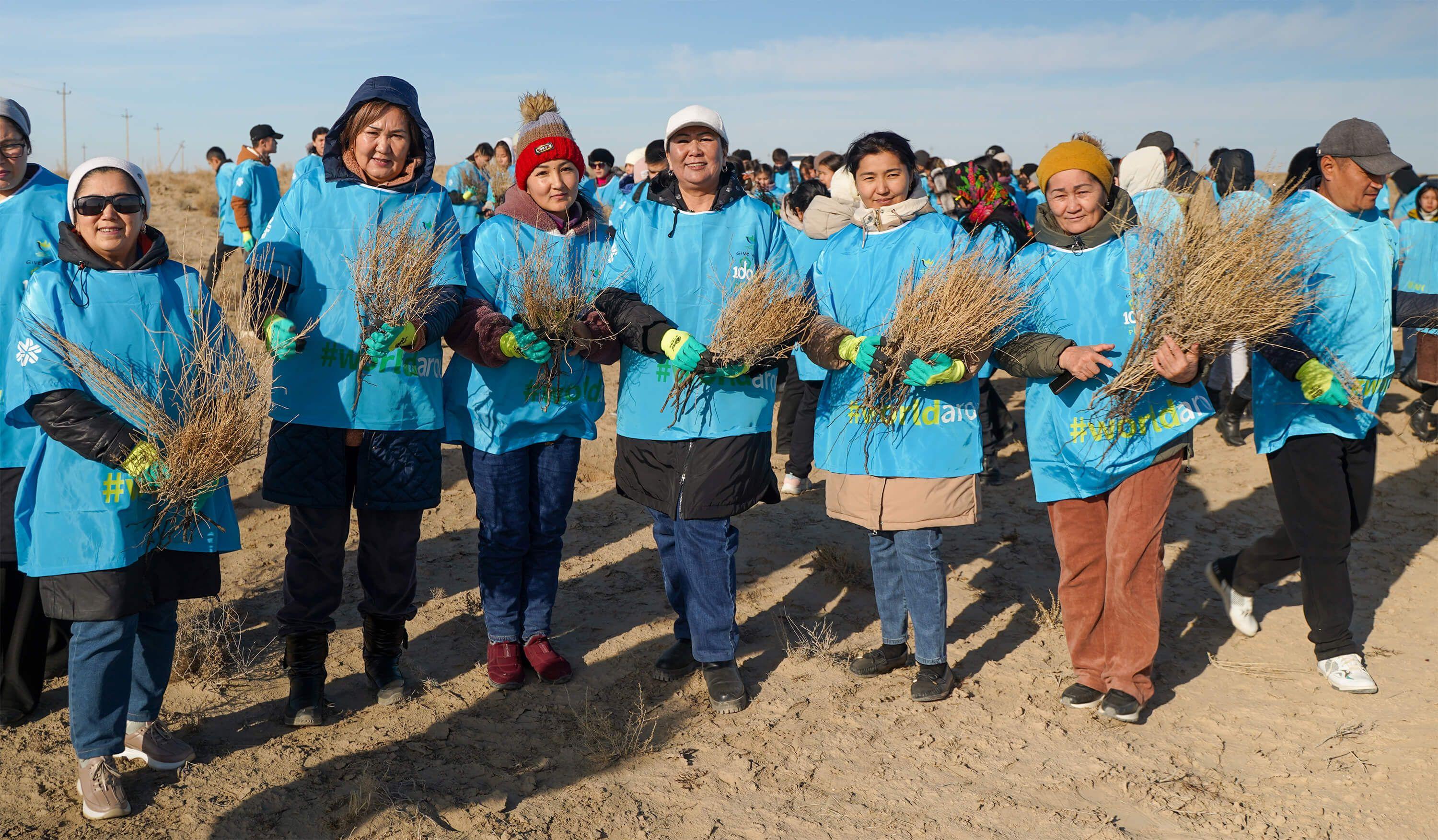 Cho‘l chekinyapti: Siberian Wellness ko‘ngillilari Orolbo'yiga saksovullar ekishdi