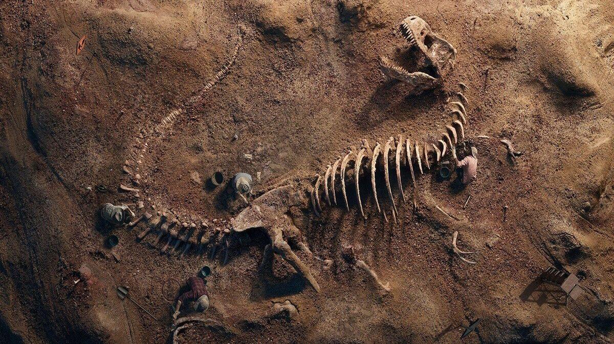 В Китае найдены останки динозавра