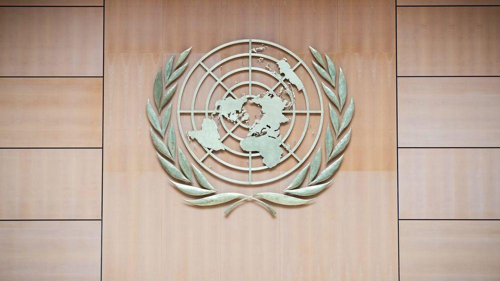 ВОЗ: Мы глубоко обеспокоены новостями, поступающими из больницы Насер