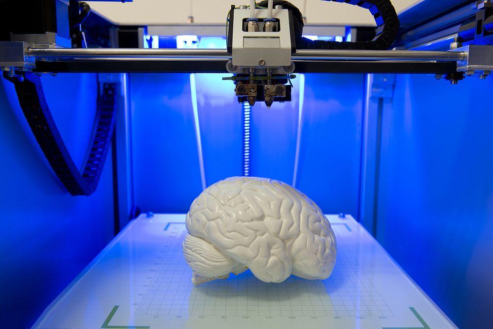 Living brain tissues printed on a 3D printer started talking to each other