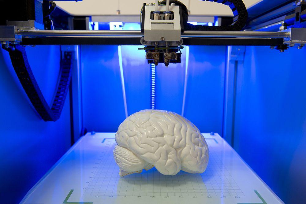 Living brain tissues printed on a 3D printer started talking to each other