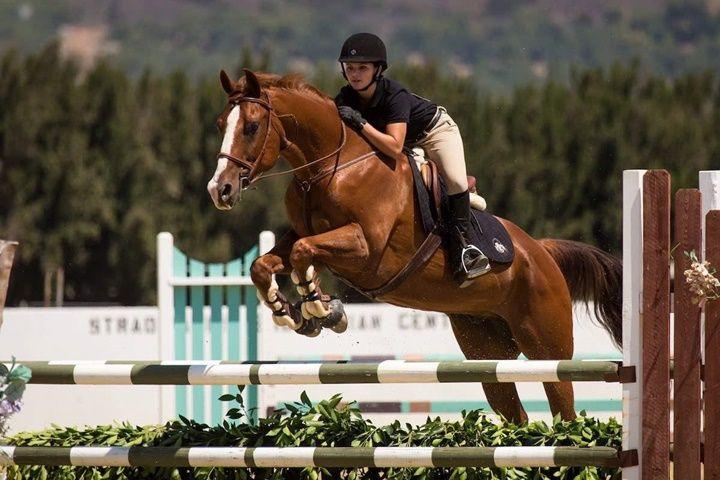 In Tashkent, the stage of the Eurasian League Nations Cup in show jumping has kicked off