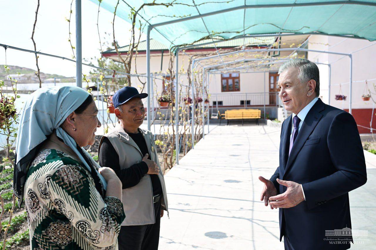 Shavkat Mirziyoyev got acquanted with the efficient use of homestead plots