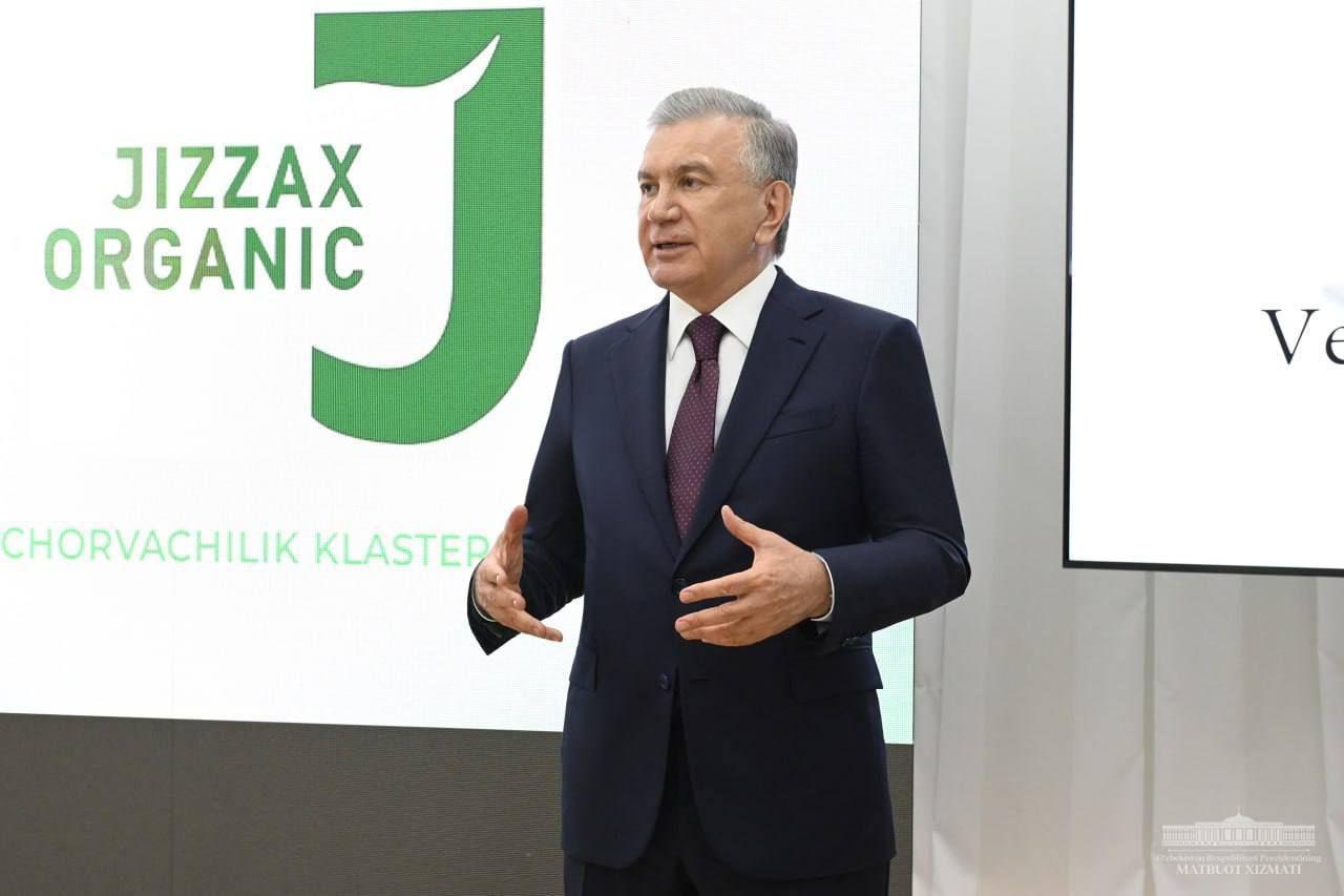 Shavkat Mirziyoyev Jizzax Organic chorvachilik klasteriga tashrif buyurdi