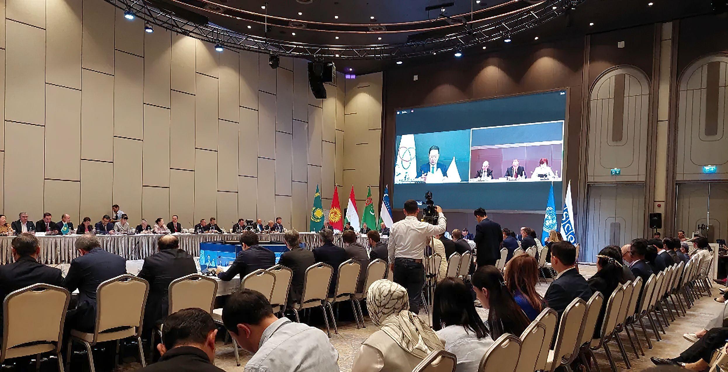 В Ташкенте стартовало первое заседание Регионального экспертного совета в Центральной Азии по вопросам реабилитации и реинтеграции возвращенцев