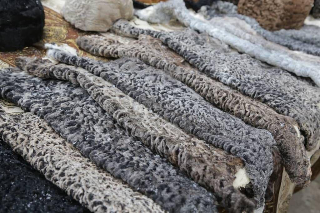 Agricultural organisations in Uzbekistan received 20.3 thousand karakul skins in three months of 2024