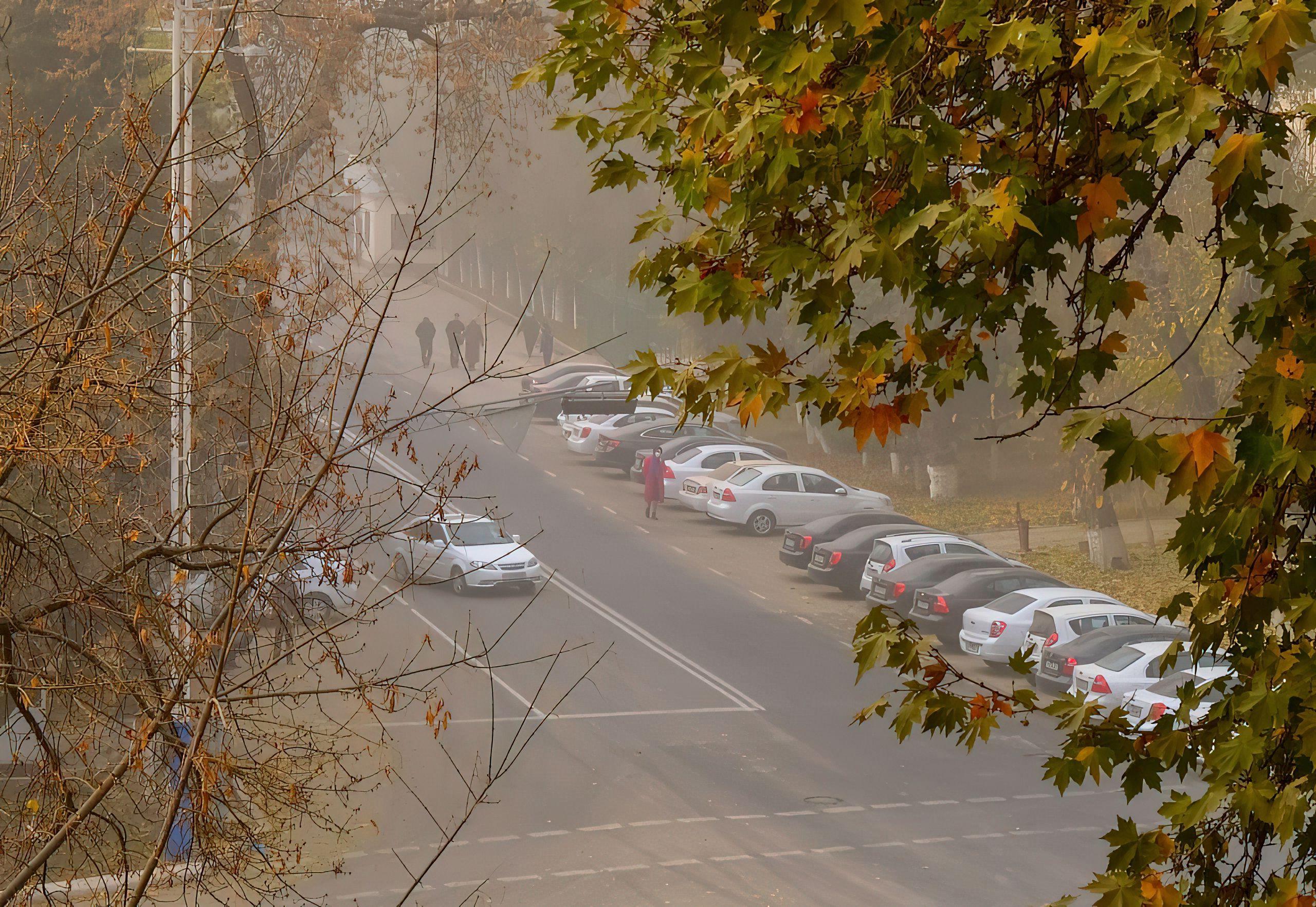 Почему воздух в Ташкенте ​​становится все более загрязненным?