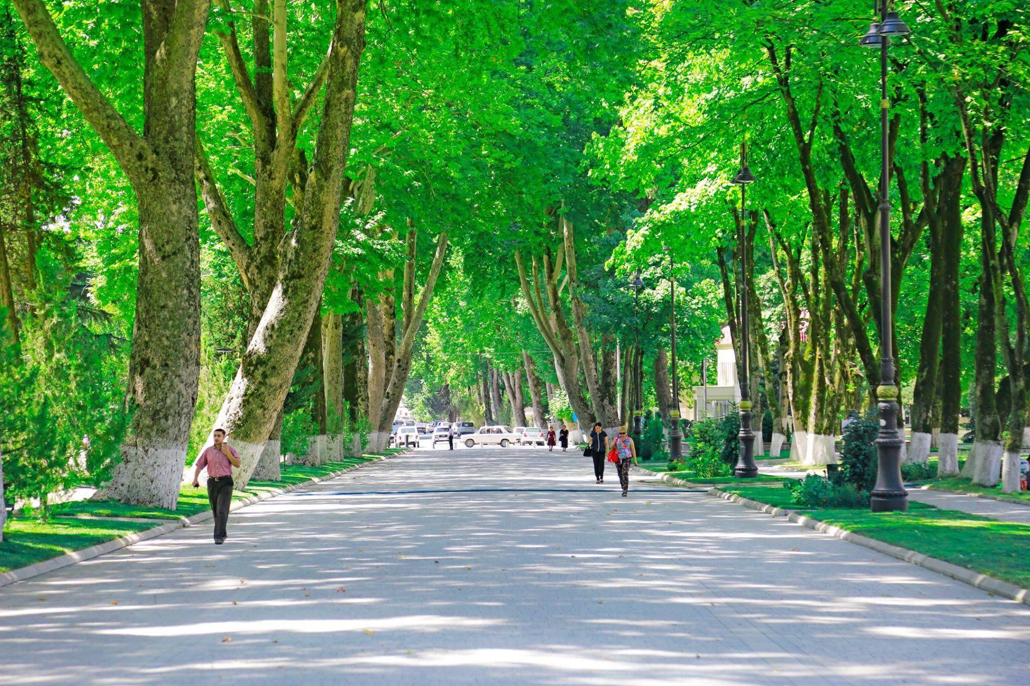 Environmental improvement plan developed by Tashkent administration